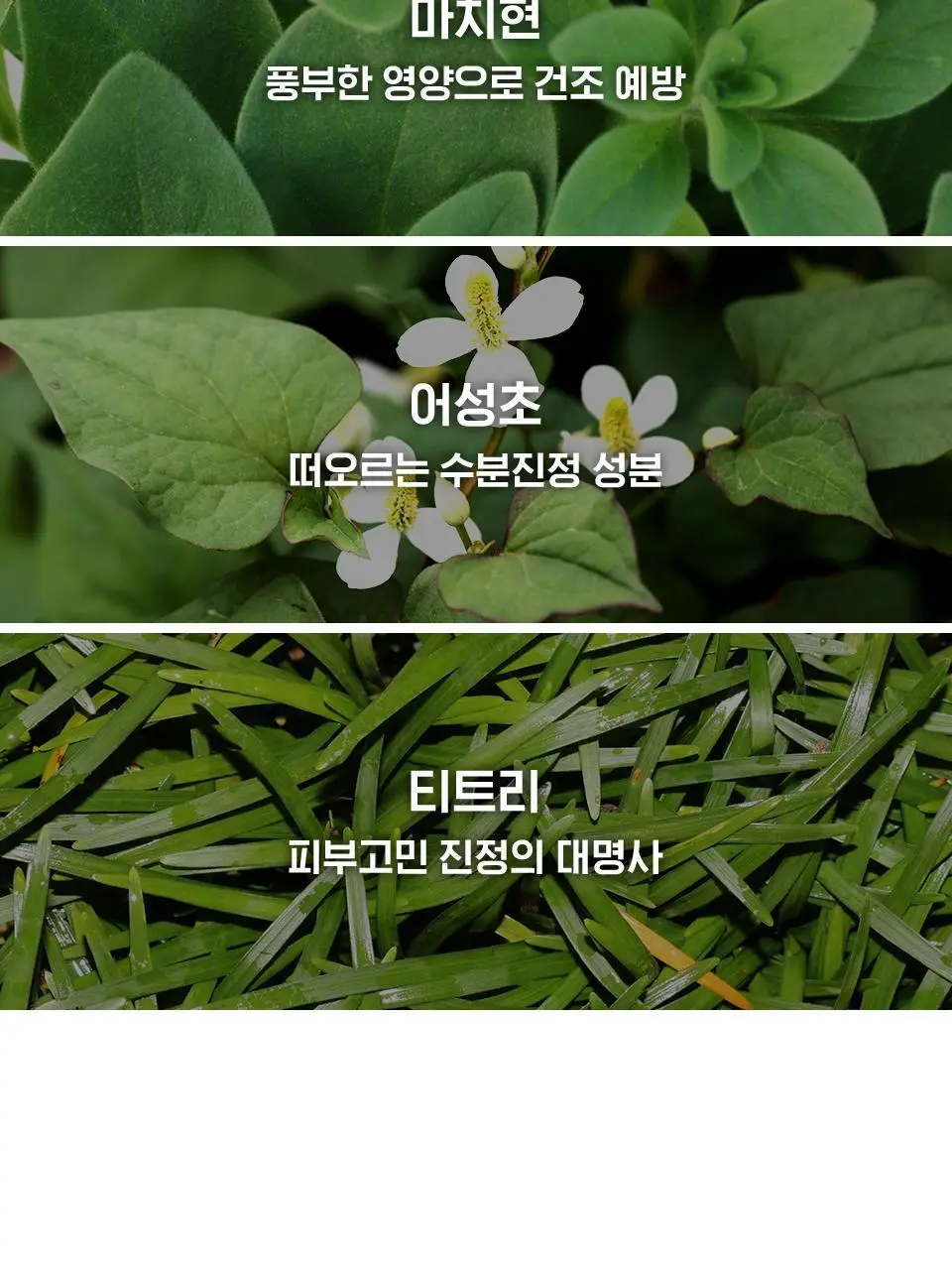 [수분엔젤광] 아이소이 모이스춰 닥터 장수진 수분크림 50ml 1+1 기획 (+20ml) 상세페이지 20